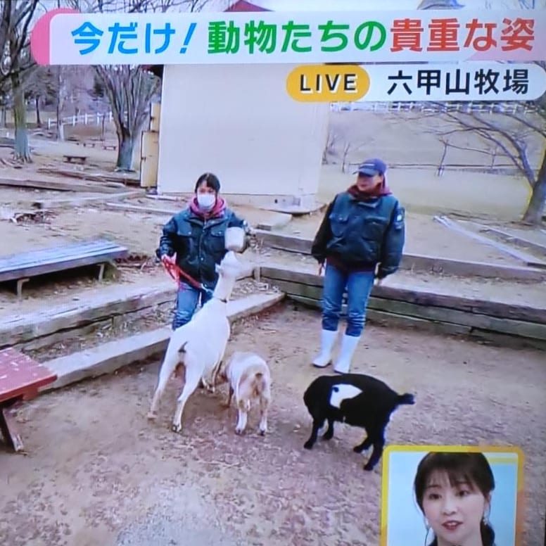 就職・進学・入学・新学年のお知らせ画像