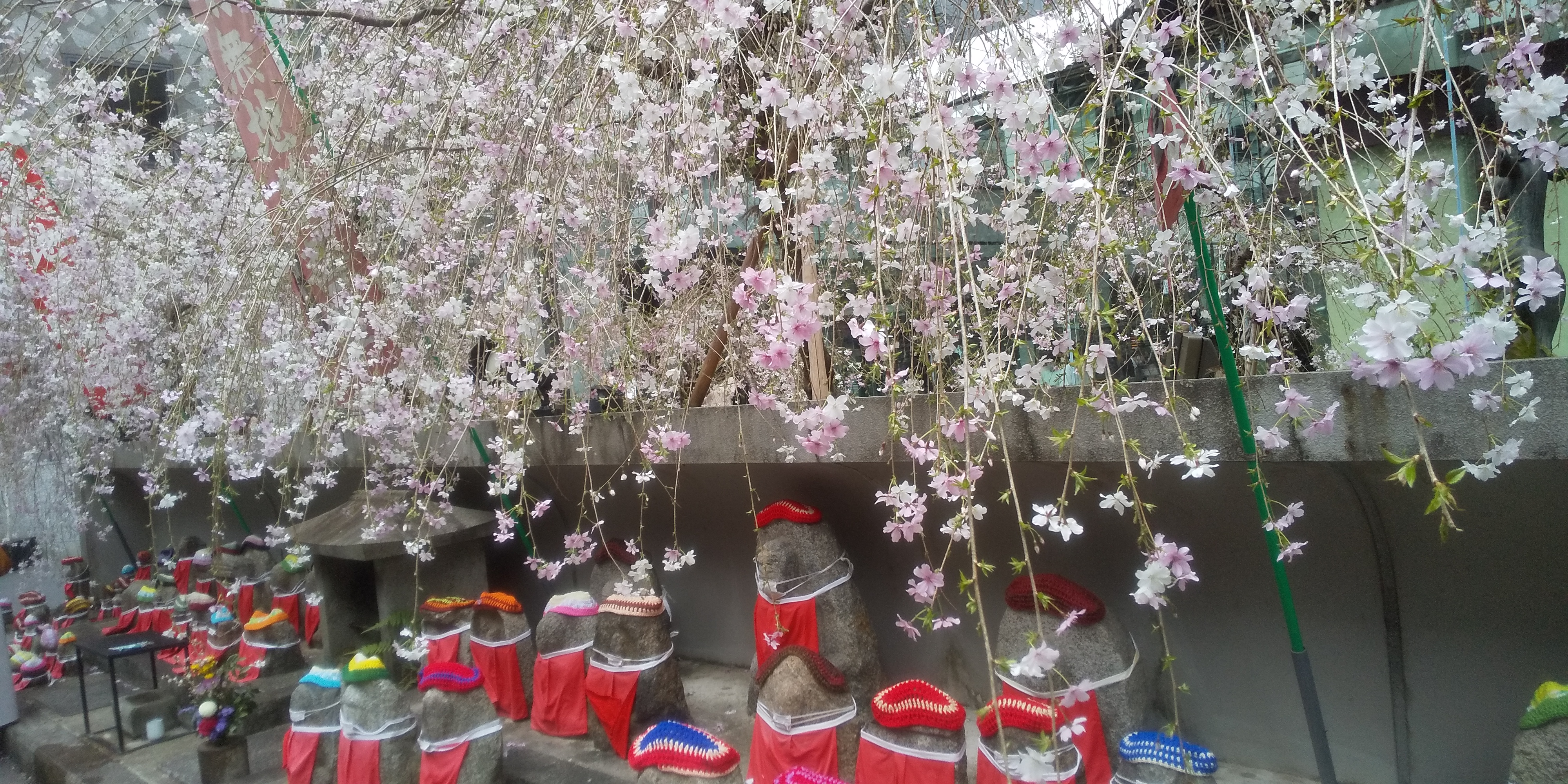 しだれ桜と赤い前掛けを着けた地蔵