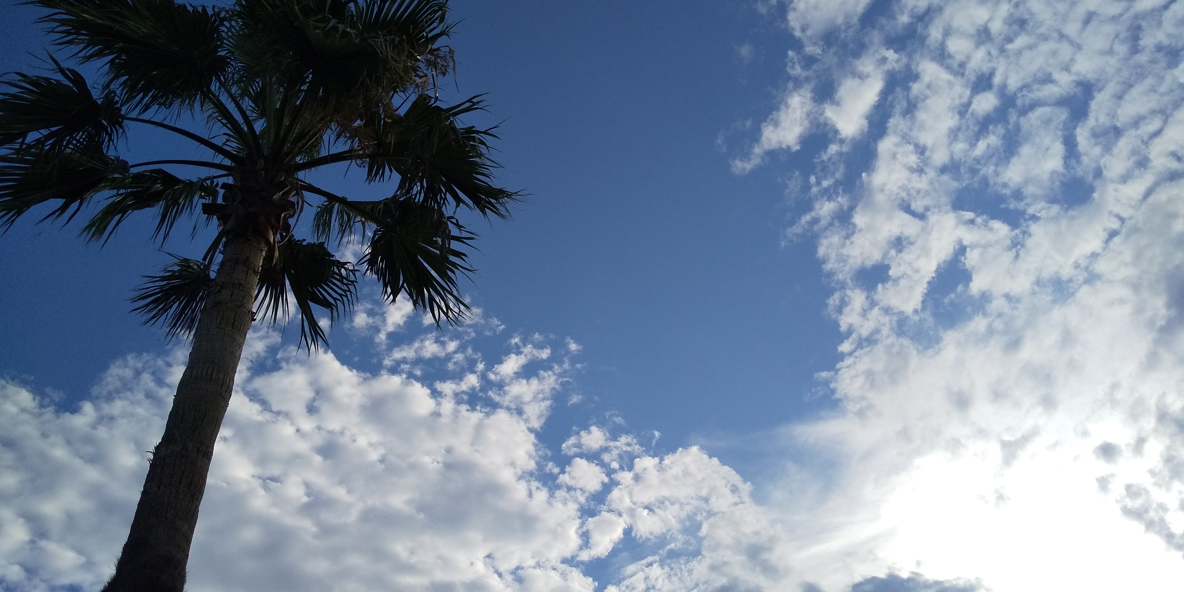 The rainy season is over !!