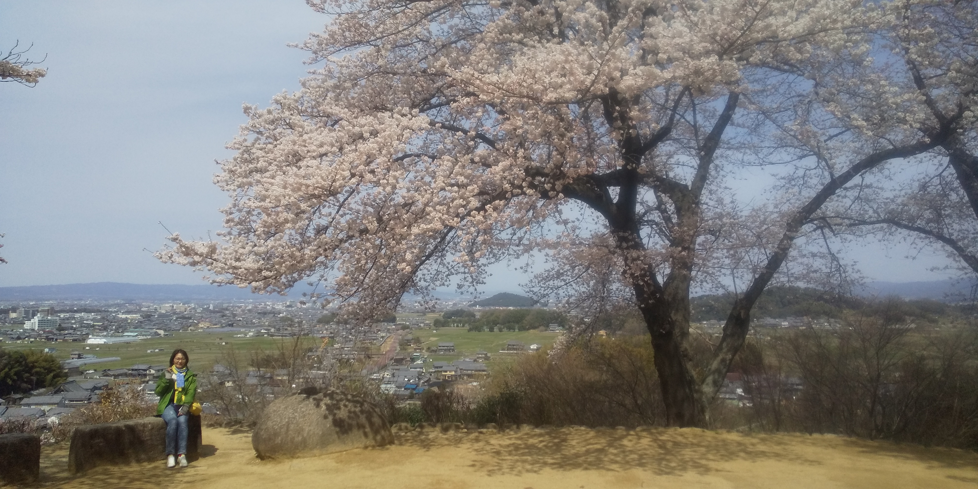 入学、進級、おめでとうございます！！