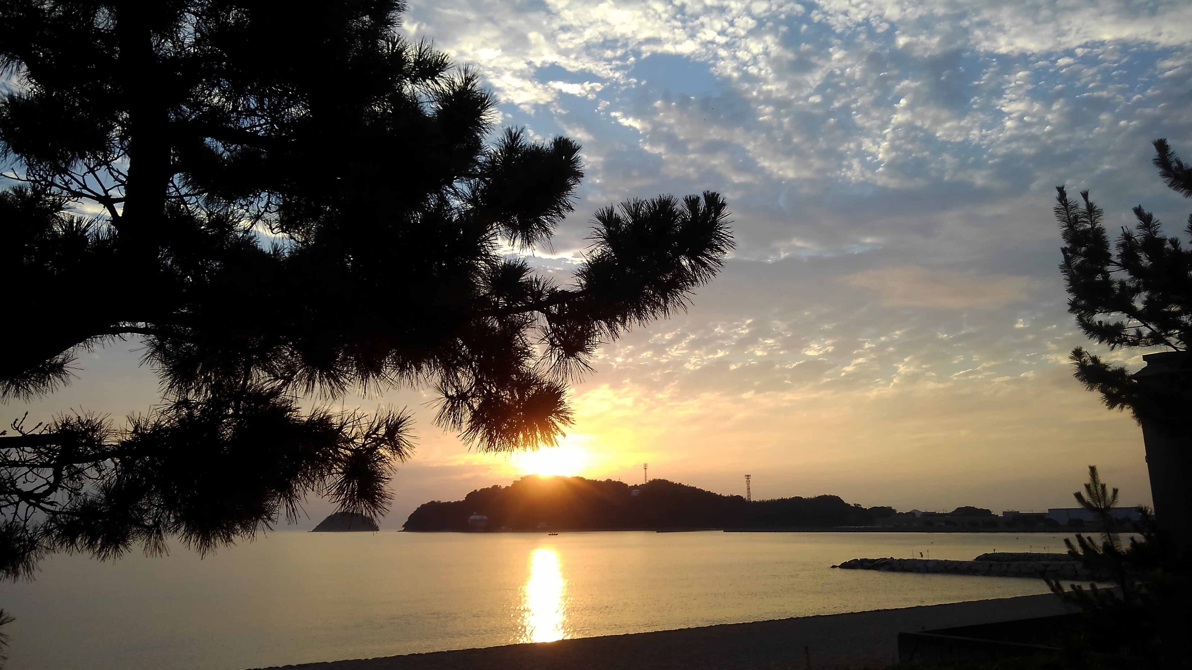 松の向こうで海を照らす夕日